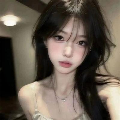傲骨之战第四季